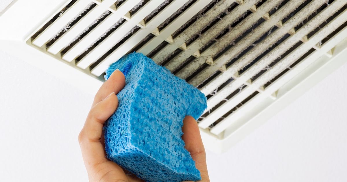 how to clean a vornado fan